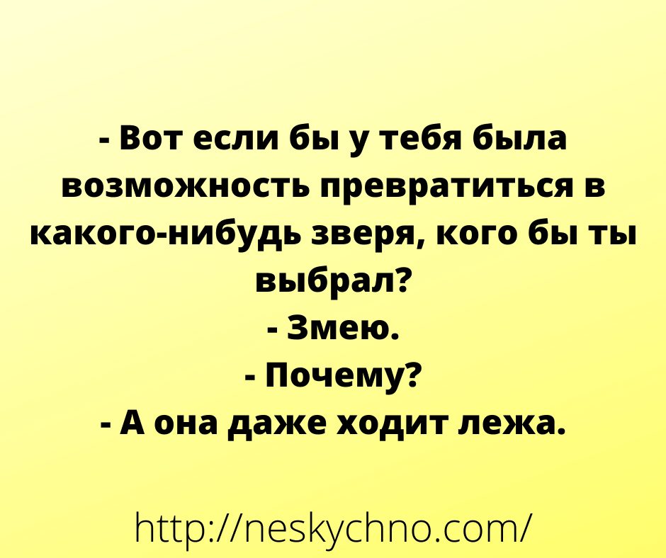 Подборка смешных анекдотов и легкого юмора для заряда позитивом 