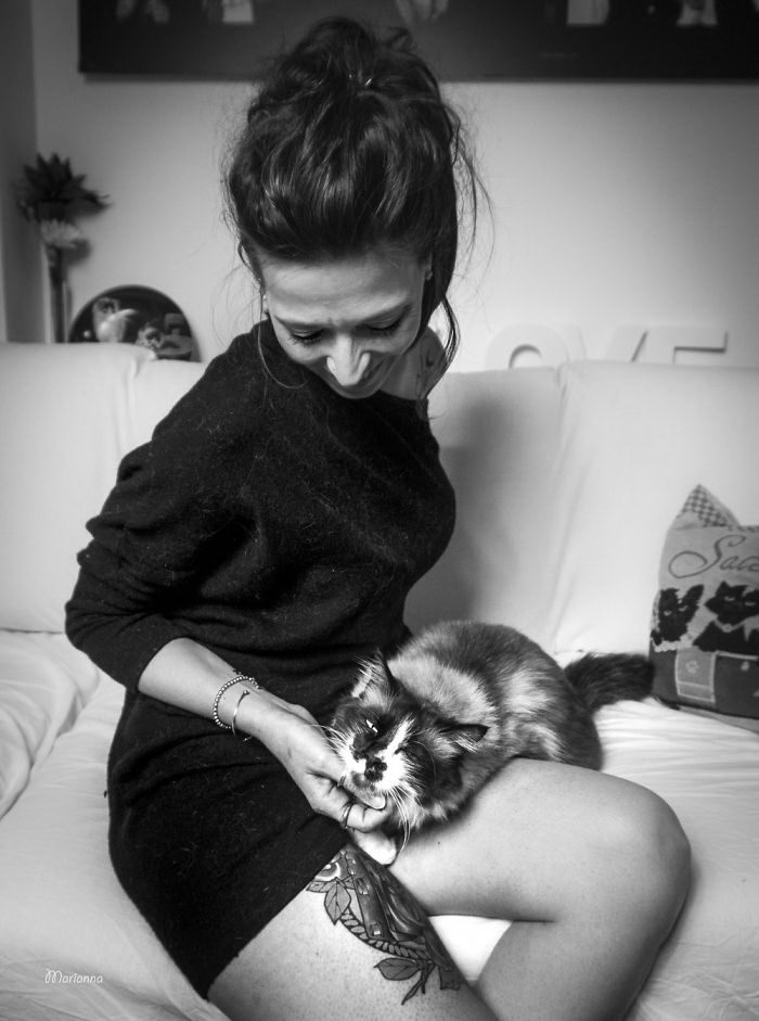 Счастливые кошки в фотографиях Marianna Zampieri Счастливые кошки