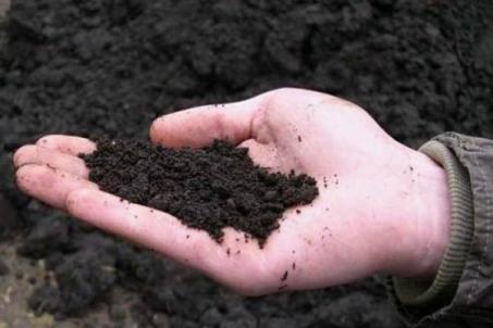 Почему Запад так бьётся за украинский чернозём