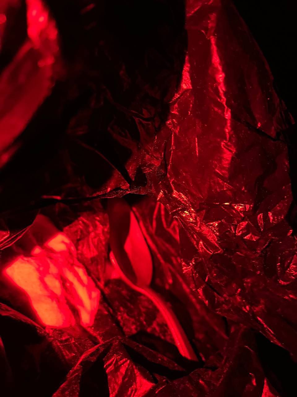 ДЕМИЛИТАРИЗАЦИЯ И ДЕНАЦИФИКАЦИЯ УКРАИНЫ – БЕЗОСТАНОВОЧНО НА ВСЕХ ФРОНТАХ новости,россия,украина