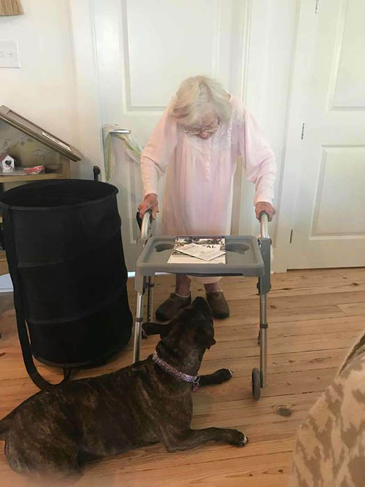 История уличного пса, который стал помощником для 99-летней женщины