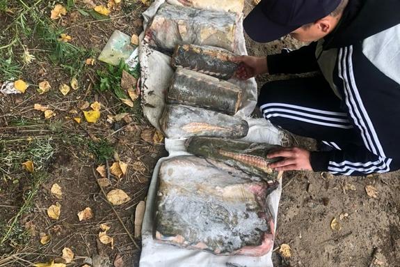 У двух жителей Хабаровского края изъяли 80 кг икры и осетрины