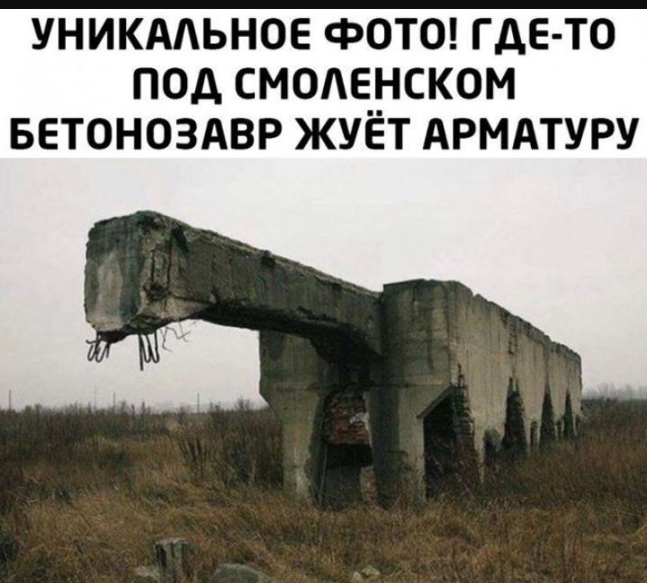 Картинки с приколами для поднятия настроения Картинки с приколами для поднятия настроения