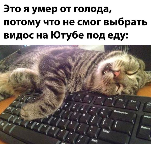 Подборка прикольных картинок Подборка прикольных картинок приколы,смешные картинки,юмор