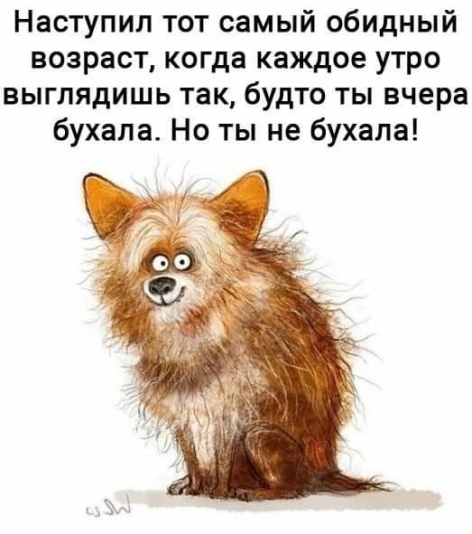 Юмор на злобу дня улучшает настроение 