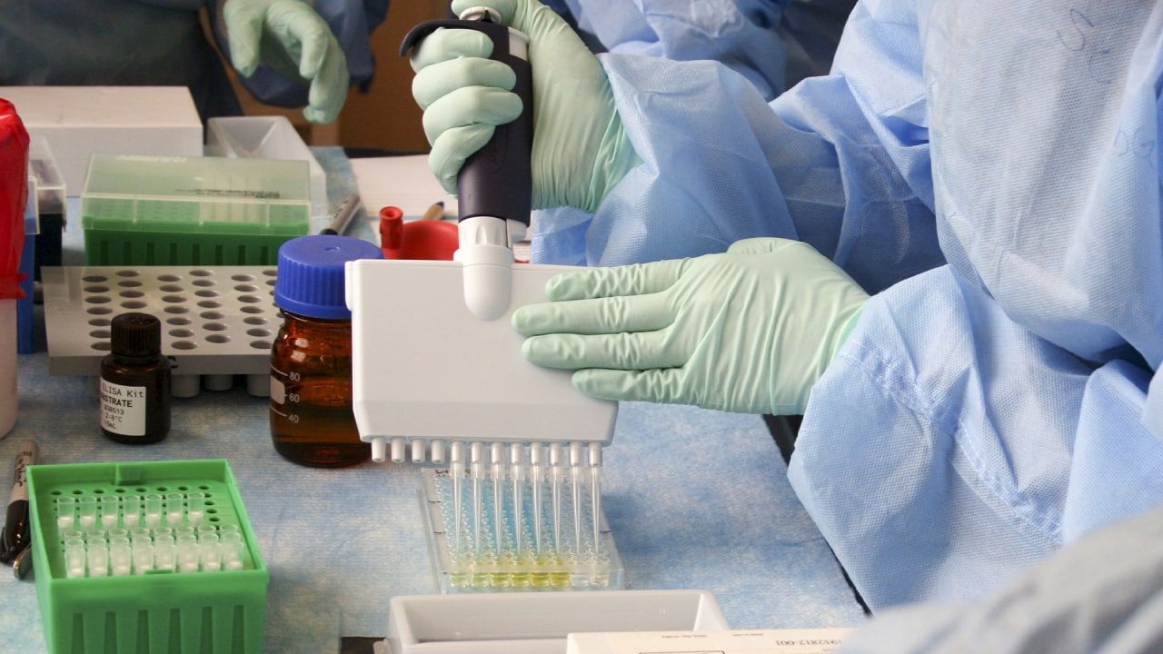 Эксперт Роспотребнадзора Пшеничная перечислила опасные последствия обезьяньей оспы