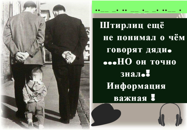Требуются работники для сбора малины. Платим 50 евро в день. Если хозяева поймают, то мы вас не знаем Требуются работники для сбора малины. Платим 50 евро в день. Если хозяева поймают, то мы вас не знаем анекдоты,веселые картинки,демотиваторы,животные,позитив,приколы