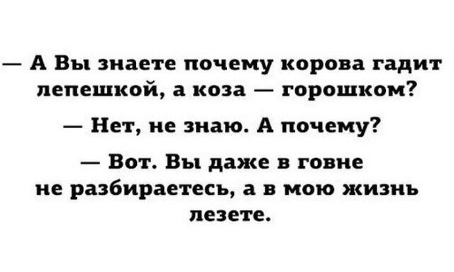 Подборка шуток для хорошего настроя на весь день 