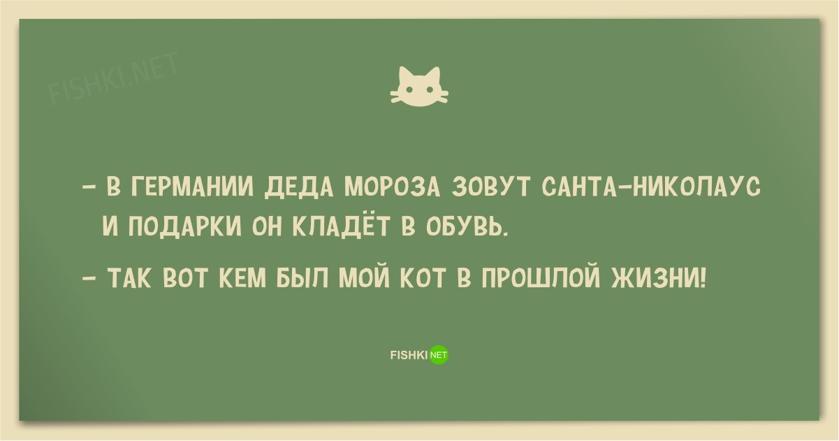 25 смешных анекдотов про кошек и котов