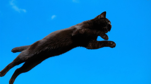 Страшный сон