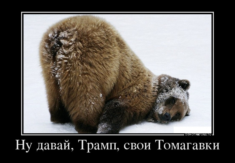 Ну давай, Трамп, свои Томогавки демотиватор, юмор