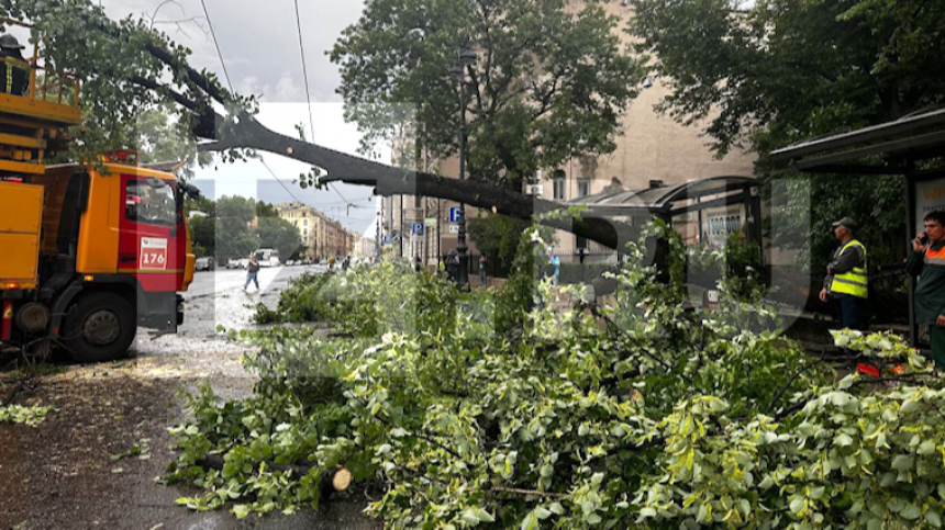 Город приходит в себя: в Петербурге ликвидируют последствия мощнейшего урагана