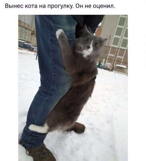Прикольные фотомемы!
