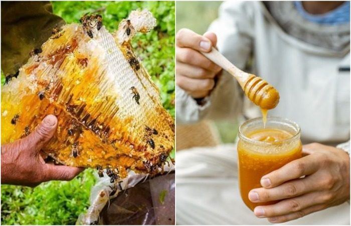 Как мёд превратили в оружие, и почему сегодня он такой дорогой - похожая новость на Toplenta