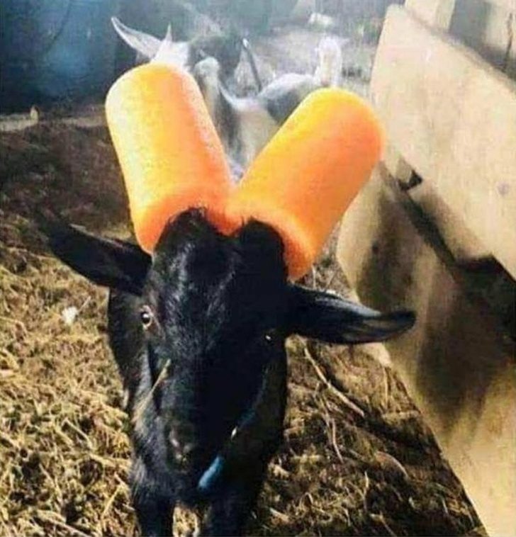 Ради комфорта - всё что угодно Ради комфорта - всё что угодно