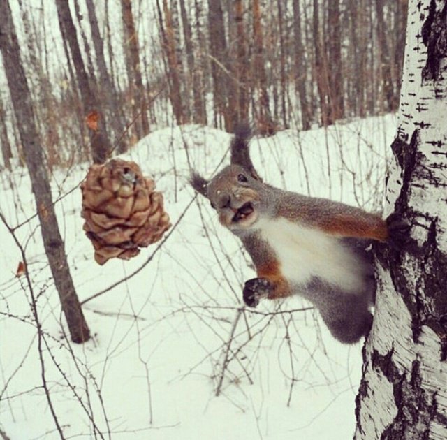 Фотоподборка понедельника 