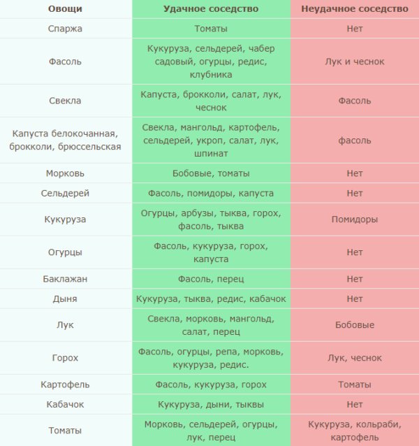 Выбор соседей по грядке. Какие овощи хорошо растут рядом друг с другом огород