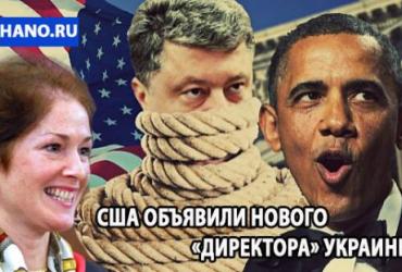 США назначили нового "директора Украины"