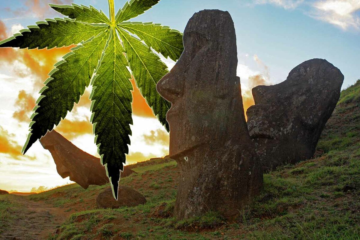 На острове Пасхи не растёт конопля, и это странно... На острове Пасхи не растёт конопля, и это странно... археология,интересные факты,история,наука