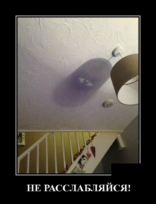 Демотиваторы Демотиваторы демотиваторы