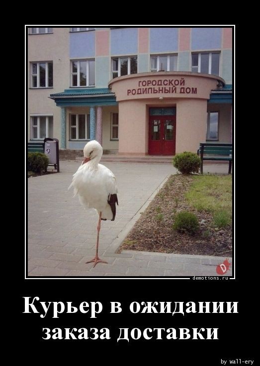 Демотиваторы дня: «Красивое» Демотиваторы дня: «Красивое»