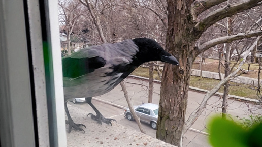 Дело семейное