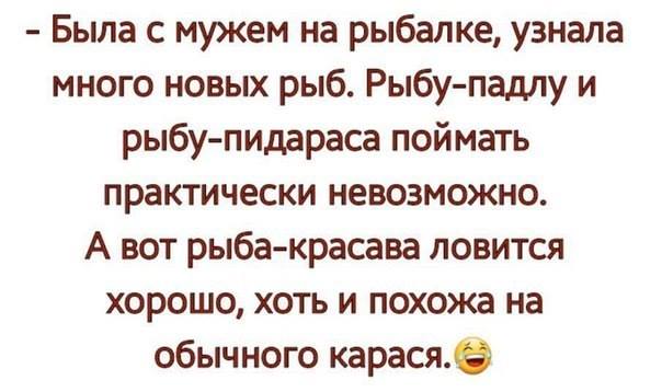 Я настолько старый, что помню те времена, когда Собчак и Клинтон были мужиками записной, полныйНадпись, лысого, понять, считаешь, толстым, полон, противоречий, бензином, Владимир, Владимирович, полный, вообще, Вообще, Преждевременное, ударит, старение, пачке, сигарет, только