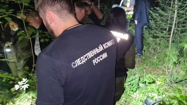 В Ульяновской области пропала без вести 12-летняя девочка, СК возбудил дело