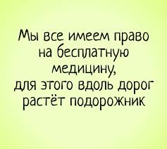 Веселые истории о нас . Лето, отпуск 