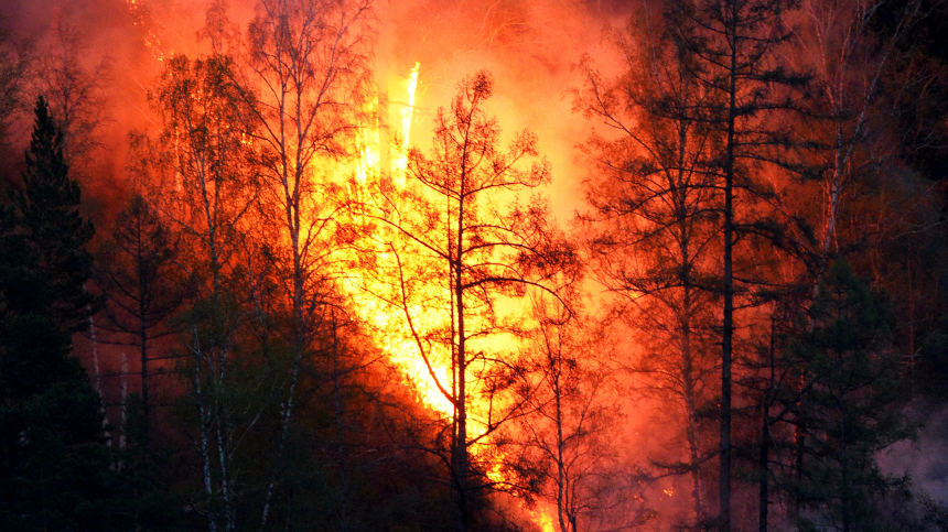 Вспыхнула сухая трава: кадры начала природного пожара под Новороссийском