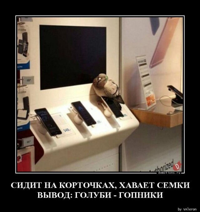 Традиционная коллекция прикольных демотиваторов на любой вкус! Традиционная коллекция прикольных демотиваторов на любой вкус!