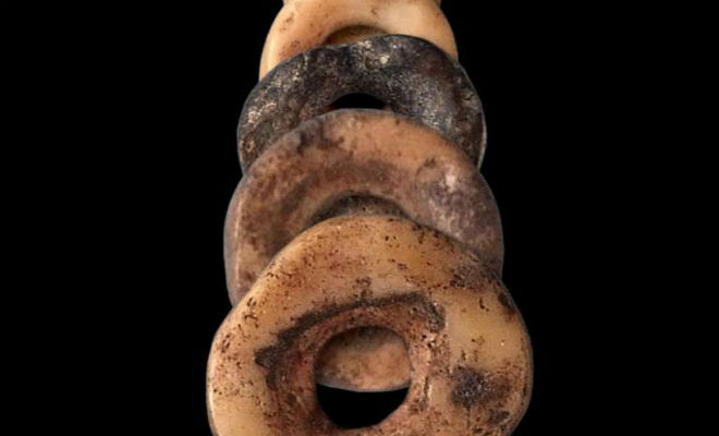 Самый старый артефакт в истории человечества: археологи достали из под земли украшения возрастом 30000 лет Самый старый артефакт в истории человечества: археологи достали из под земли украшения возрастом 30000 лет Культура