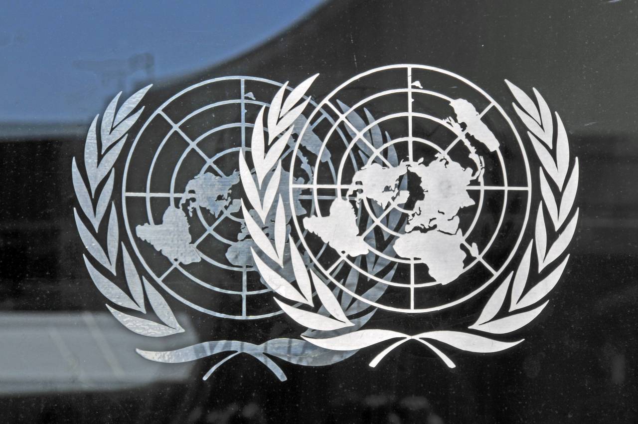 Оон 1991. Генеральная Ассамблея ООН 1974. Дюжаррик ООН. Генеральная Ассамблея ООН эмблема. Флаг ООН.