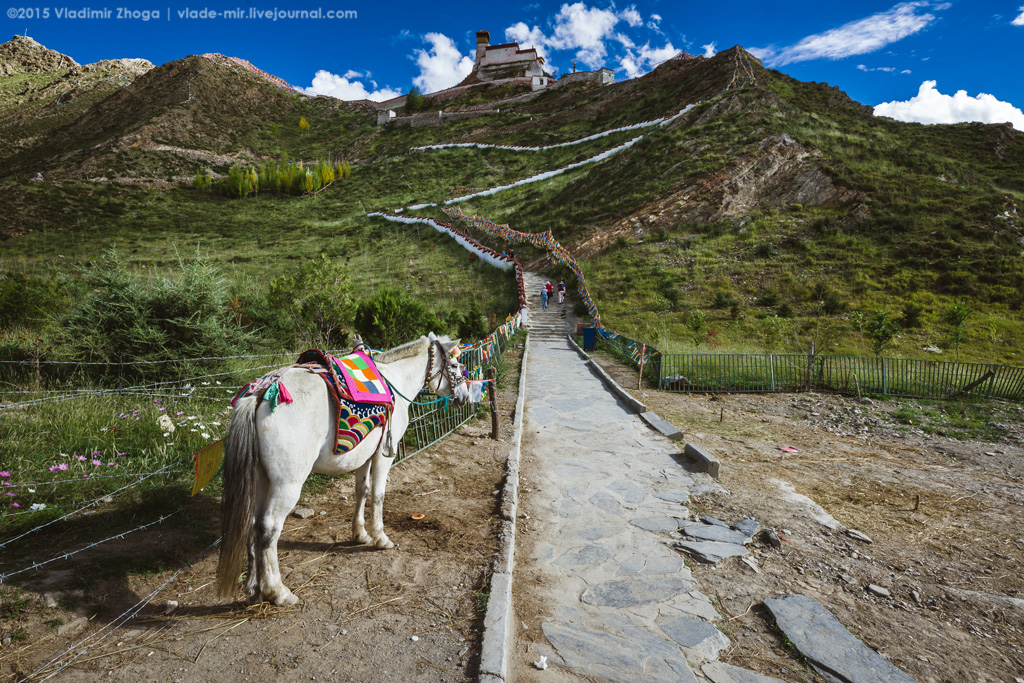 Цетанг: путешествие  к  истокам тибетской цивилизации путешествия,Тибет,Цетанг