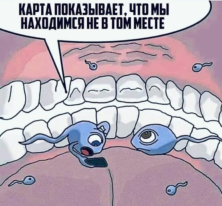 Веселый юмор на злобу дня 