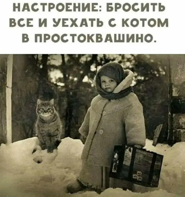 - А как правильно про шарф сказать - надевают или одевают? - Накручивают! очень, деньги, считают, которые, детьми, вопрос, наложил, разное, женщин, стало, трудно, доходами, всегда, строй, Например, Откуда, скупердяй, говорят, нужны, бабушке