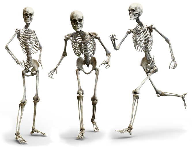 Почему зубы не считаются костью костей, человеческого, кости, зубов, которая, и кости, Кости, костный, кальций, между, ткани, которые, содержат, и костей, минералов, часть, Таким, могут, образом, ткань