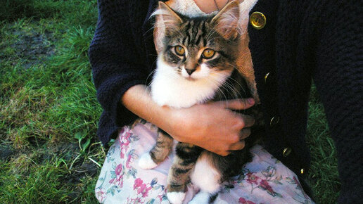 Разная любовь