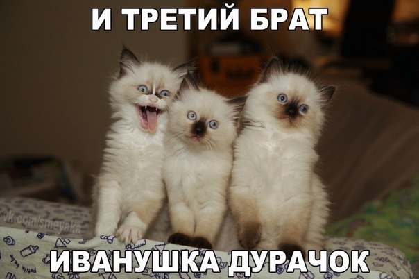 Веселые и классные фотографии с надписями для настроения