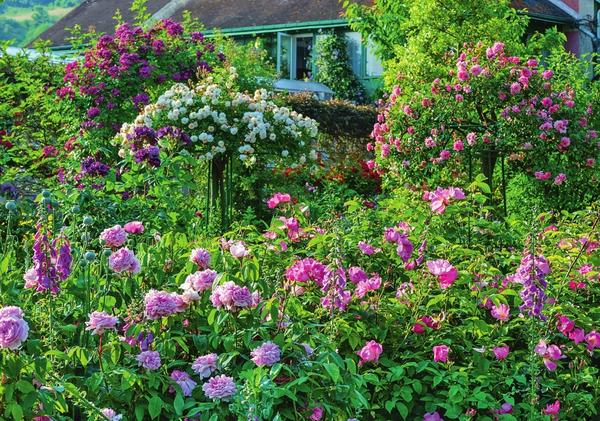 Владелец этого сада - большой почитатель роз, ведь участок всецело отдан в распоряжение королеве цветов. Даже традиционное место деревьев заняли штамбовые красавицы