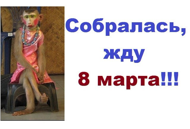 Картинка прикол обезьяна накрасилась сижу жду