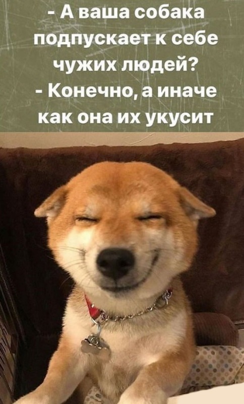 Юмор в картинках, местами жестковато, местами черновато Юмор в картинках, местами жестковато, местами черновато