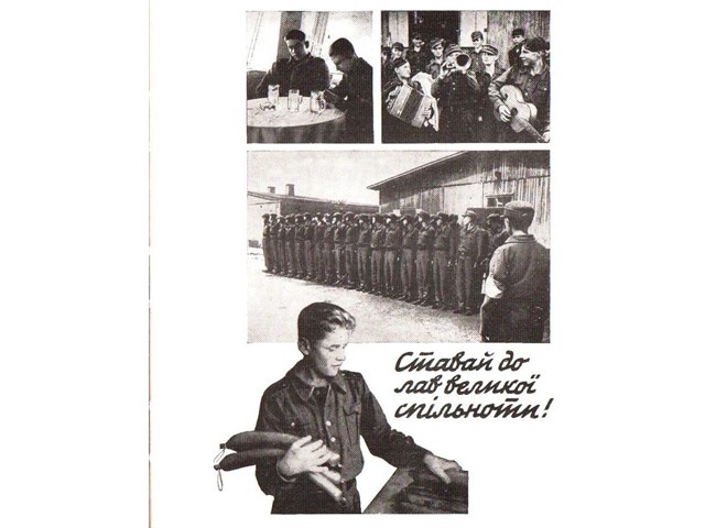 Украинские помощники люфтваффе и ПВО Украинские помощники люфтваффе и ПВО история