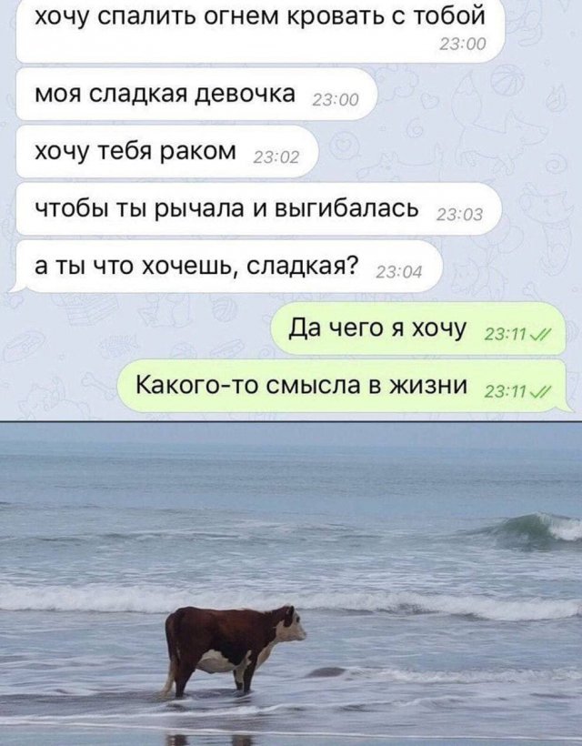 Смешные переписки