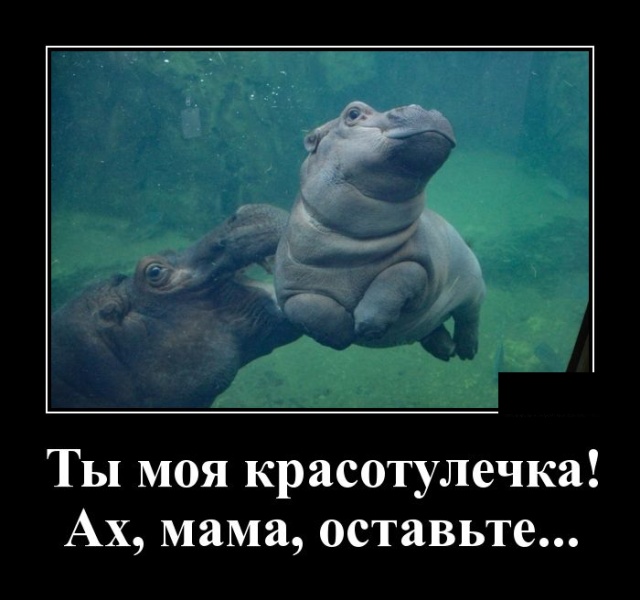 Женщина — как театр, сегодня комедия, завтра трагедия, а послезавтра гастроли в другом городе Женщина — как театр, сегодня комедия, завтра трагедия, а послезавтра гастроли в другом городе анекдоты,демотиваторы,приколы,юмор