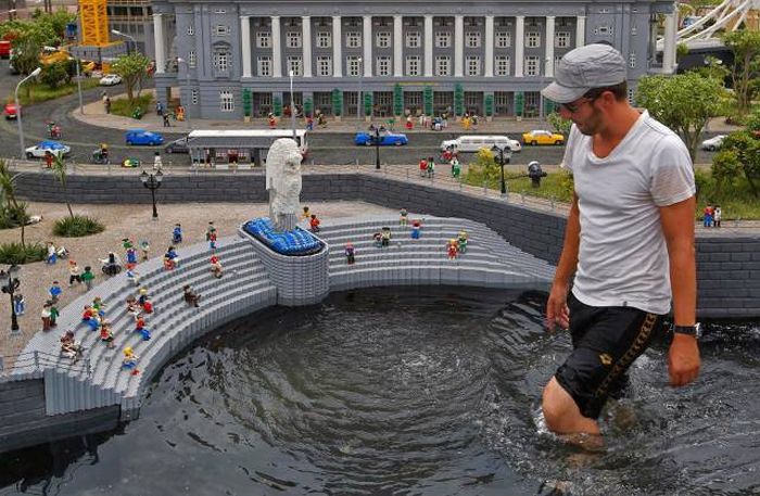 Позитивные картинки и свежие фото приколы для настроения (11 фото)