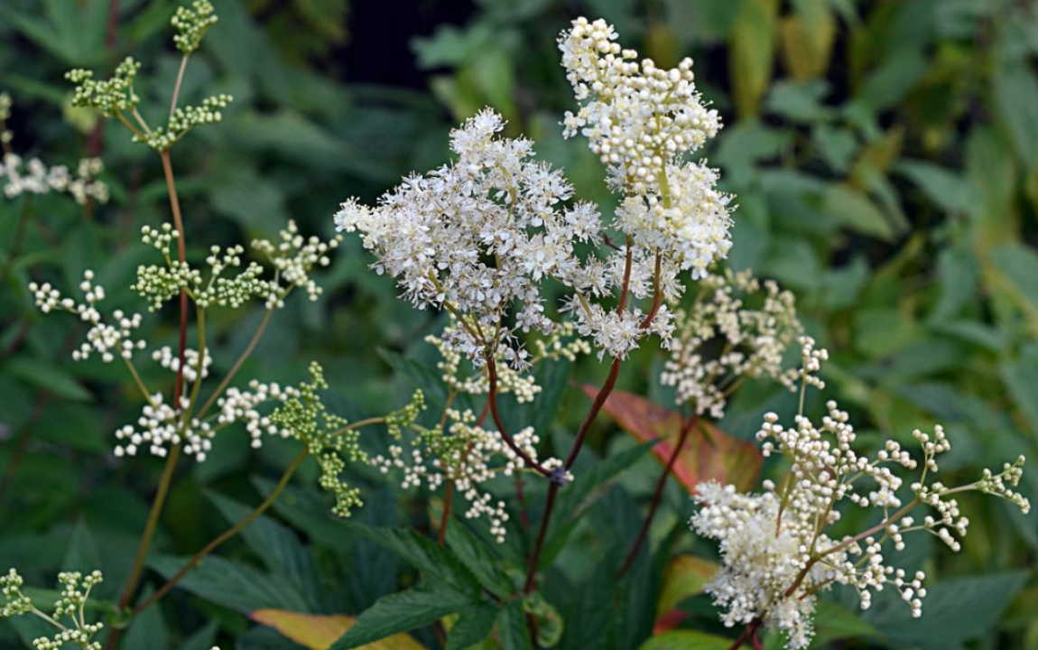 Остеохондроз, артрит и ревматизм вылечил без уколов и таблеток, нашел рецепты народные!