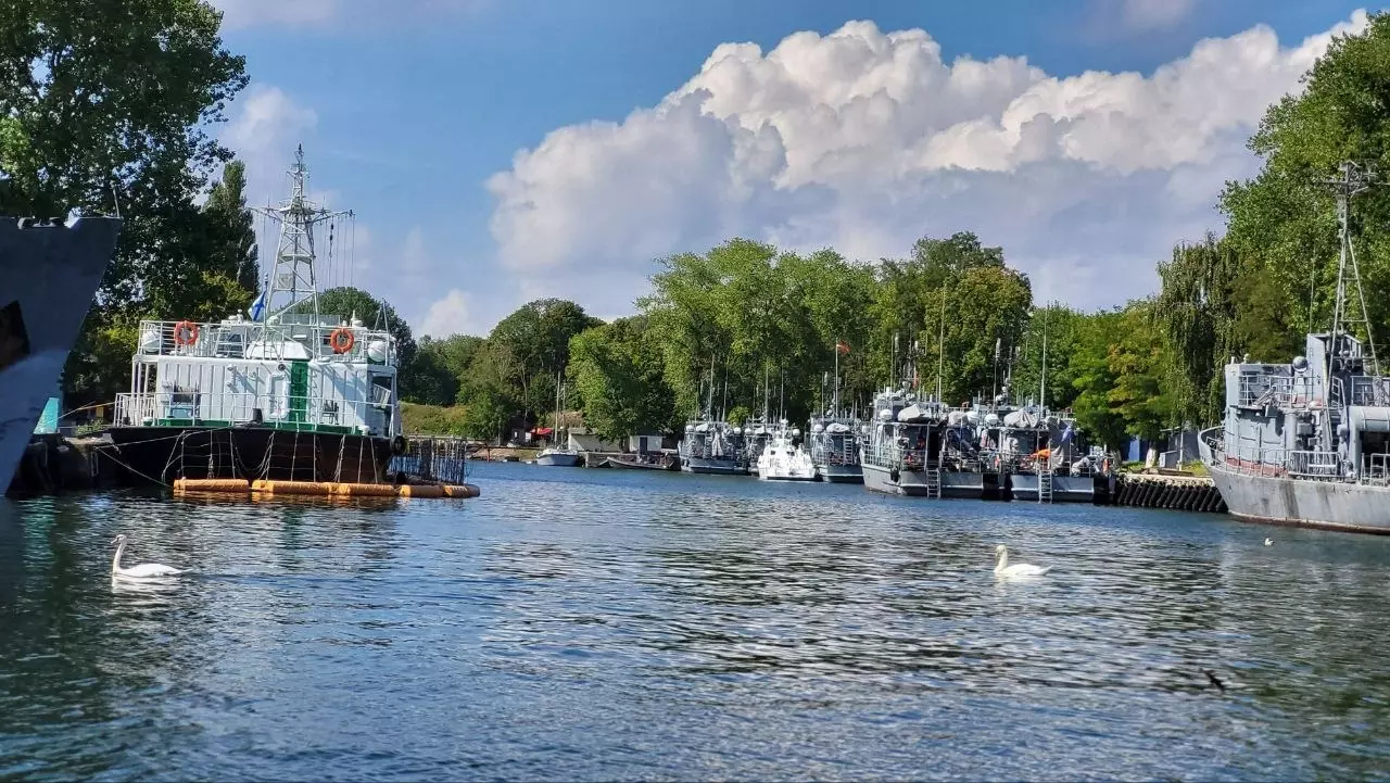 Военные корабли и лебеди — типичный пейзаж Балтийска