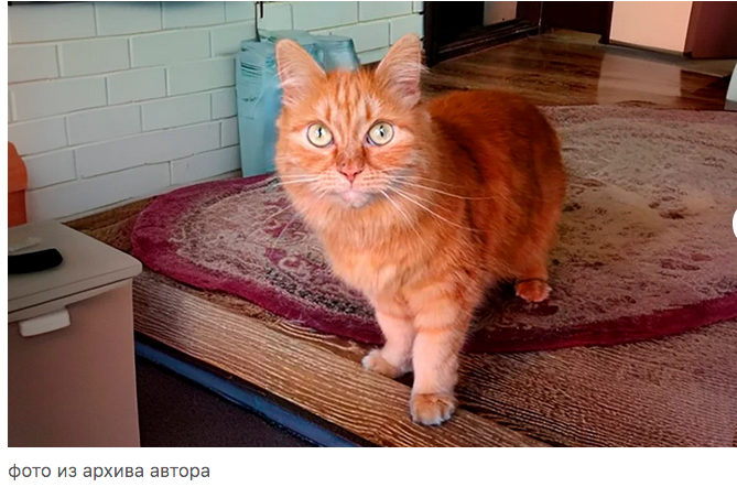 Чудеса там, где их любят