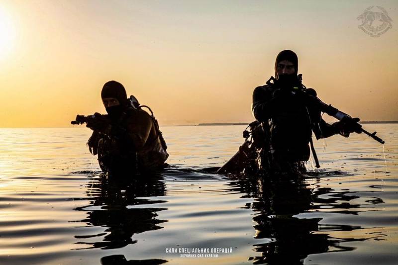 73-й морской центр спецопераций ВСУ. Боевые пловцы, каратели и близкий разгром 73-й морской центр спецопераций ВСУ. Боевые пловцы, каратели и близкий разгром армия